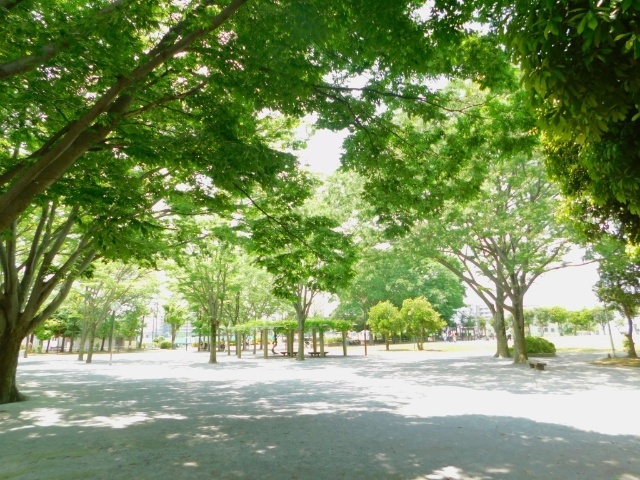 公園　天王台西公園（公園）まで408m