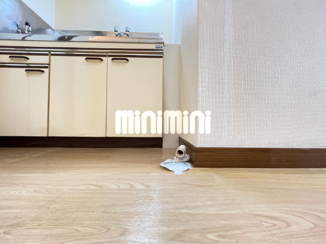 その他部屋・スペース　洗濯機設置場所
