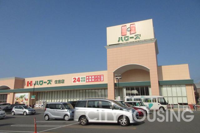 スーパー　ハローズ 住吉店（スーパー）まで427m