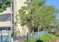 小学校　松戸市立根木内小学校（小学校）まで657m