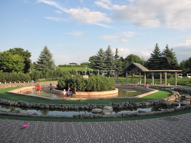 公園　新富公園（公園）まで318m
