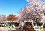 幼稚園・保育園　認定こども園呑竜幼稚園（幼稚園・保育園）まで611m