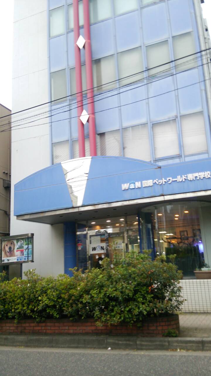 その他　国際ペットワールド専門学校（その他）まで1278m