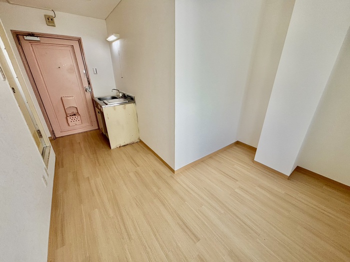 菅栄町レディースマンションの居間写真