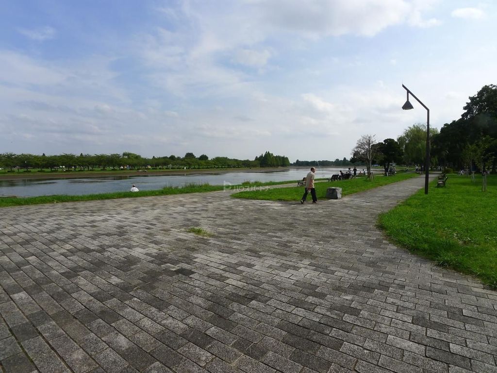 公園　水元公園（公園）まで1670m