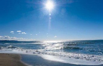 その他　七里ガ浜（その他）まで850m
