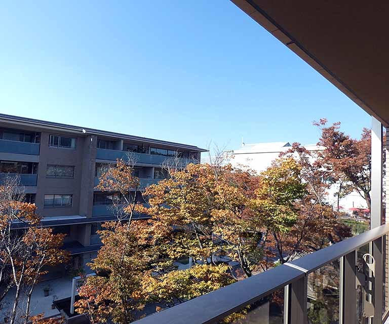 眺望