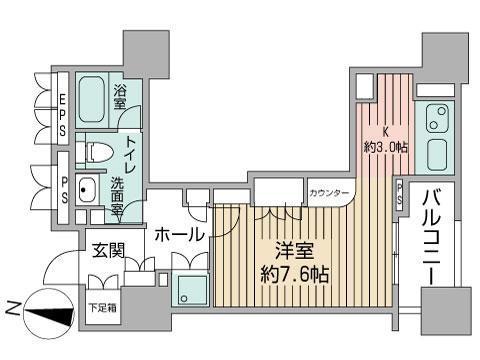 プライムメゾン大通公園の間取り