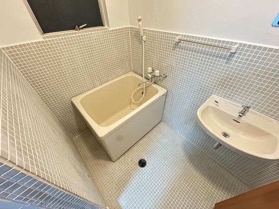 バス・シャワールーム　※別部屋の写真です