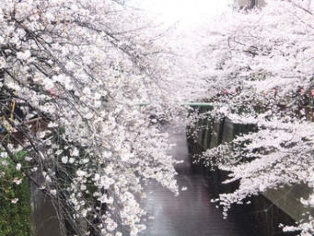 その他　周辺環境