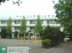 小学校　府中市立第十小学校（小学校）まで230m