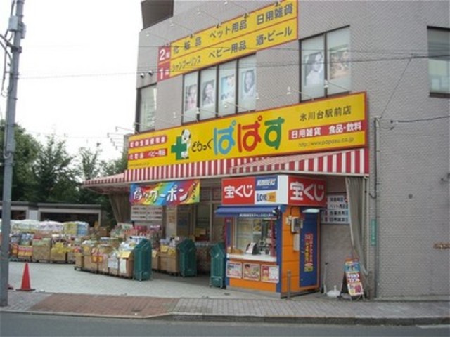 ドラックストア　どらっぐぱぱす氷川台駅前店（ドラッグストア）まで714m
