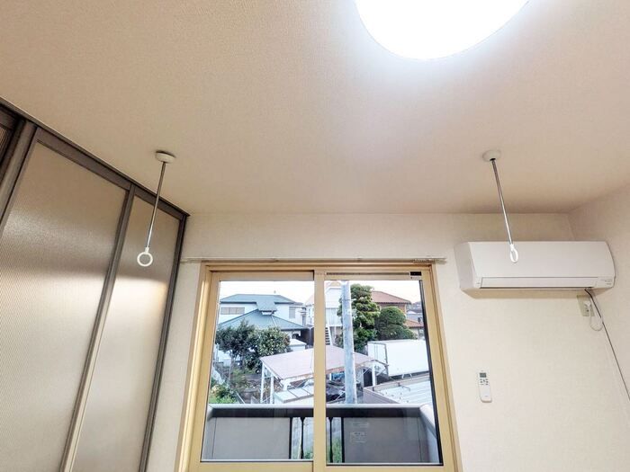 アマランスのその他写真
