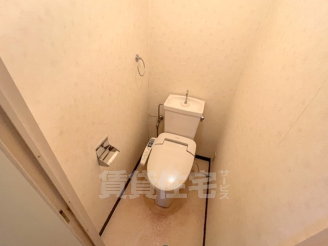 PALMIZIO東三国のトイレ写真