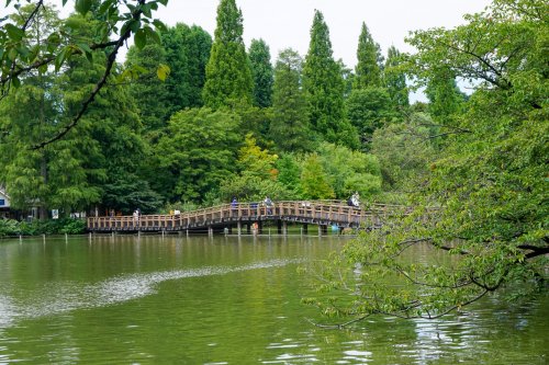 【ARK HOUSE 井の頭の公園】