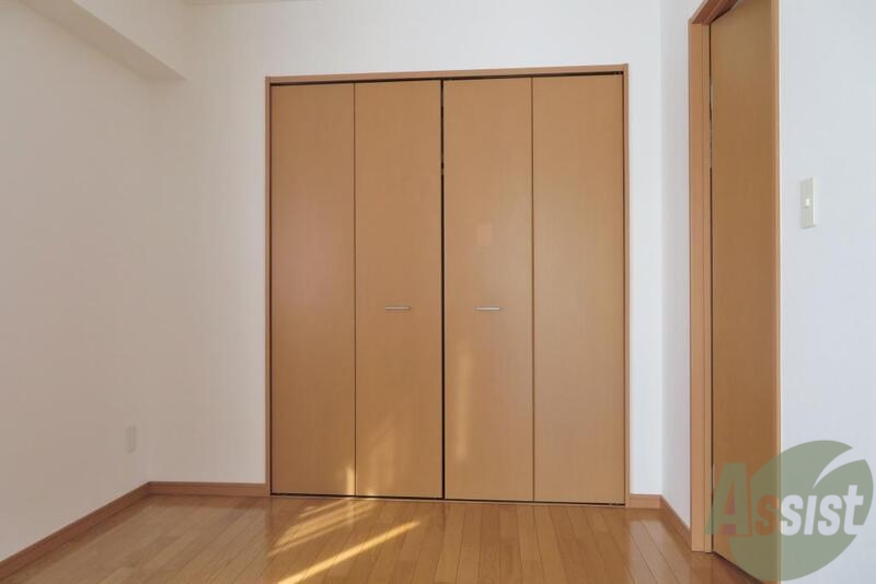 収納　収納はこの様になっております。広さがしっかり有りそうです。