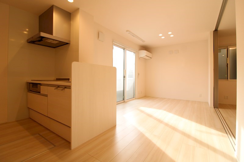 居室・リビング　LDK11.1帖