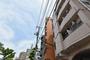 土橋駅より徒歩3分 築44年9ヶ月 5階建の賃貸物件