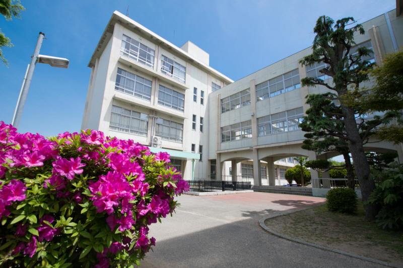 小学校　白鳥小学校（小学校）まで541m