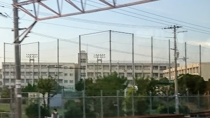中学校　堺市立鳳中学校（中学校）まで979m