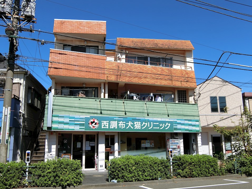 その他　西調布犬猫クリニック（その他）まで568m