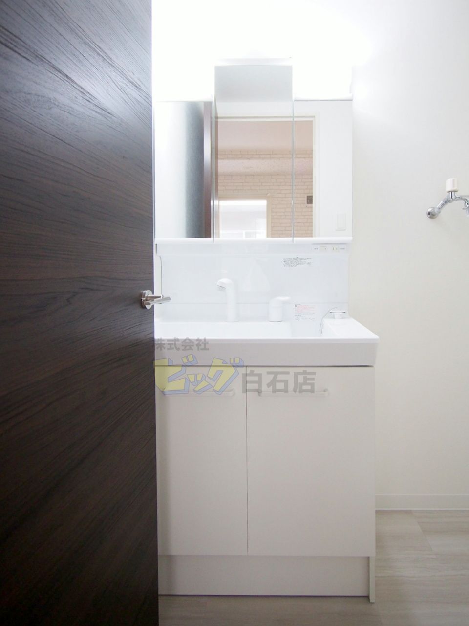 洗面設備　シャンプードレッサー付きです♪