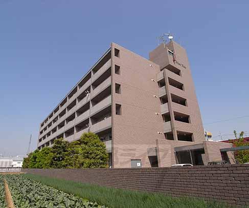 建物外観　この立地！日当たりは良好ですよ！