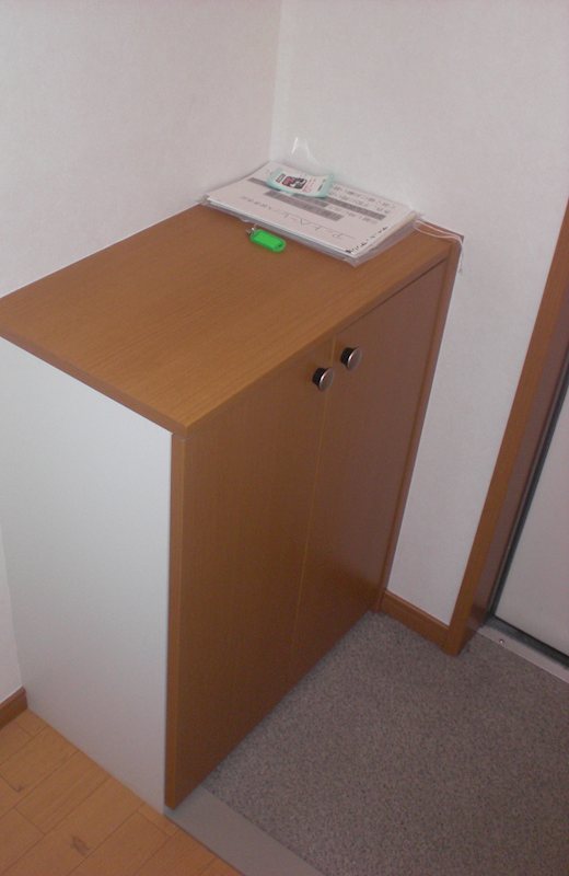 玄関　※全て別号室のお写真。内装等参考にしてください。