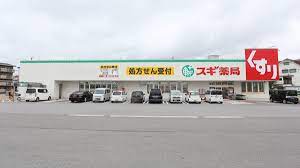 ドラックストア　スギ薬局八日市店（ドラッグストア）まで858m