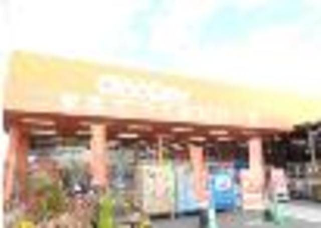 ホームセンター　グッデイ南福岡店（ホームセンター）まで798m