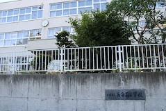 小学校　札幌市立西白石小学校（小学校）まで552m