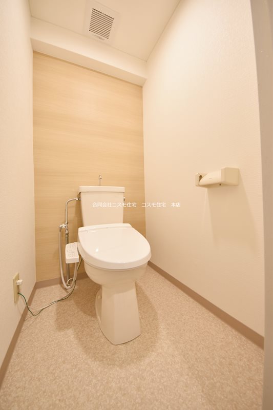 近鉄大阪線 近鉄八尾駅 徒歩9分 3階建 築33年のトイレ写真