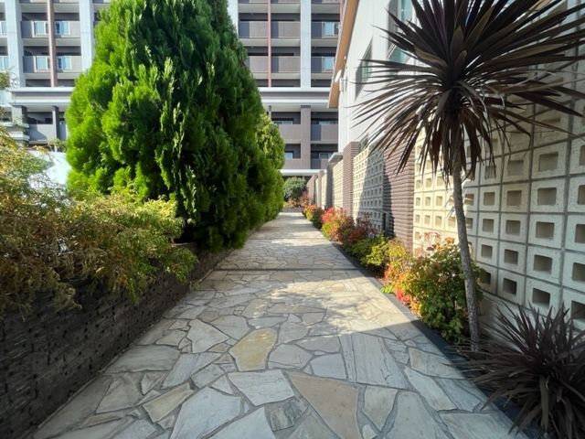 庭　庭