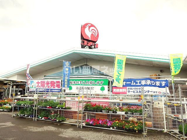 バリュージュトラウム Ｂのホームセンター