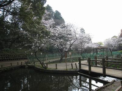 【習志野市藤崎のマンションの公園】