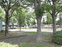 公園　諏訪木東公園（公園）まで303m