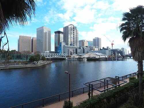 眺望　リバービューの開放的な眺望