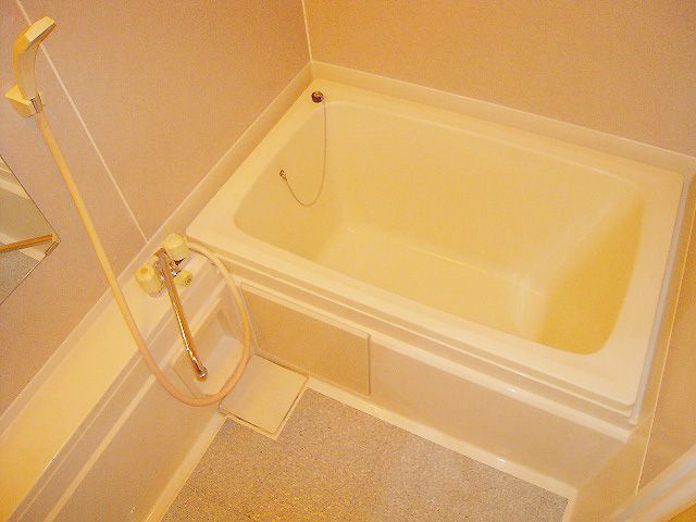 バス・シャワールーム　別部屋参考画像