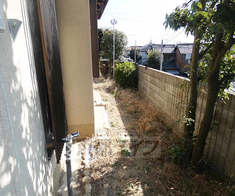 庭　広めのお庭です。