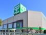 スーパー　サミットストア環八南田中店（スーパー）まで636m