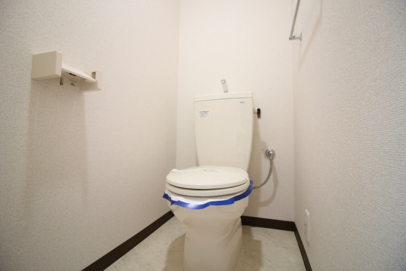 大西ハウスサツマボリのその他写真