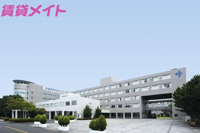 【SPACE・Ｋ　BEACHの大学・短大】