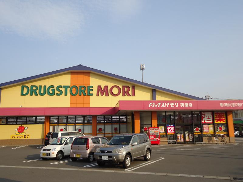 ドラックストア　ドラッグストアモリ関園店（ドラッグストア）まで4248m