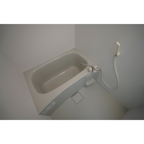 バス・シャワールーム　同じ建物の別なお部屋