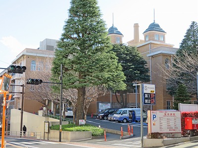 病院　社会福祉法人聖母会聖母病院（病院）まで96m