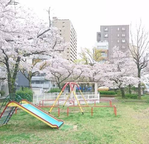 公園　広小路公園（公園）まで425m