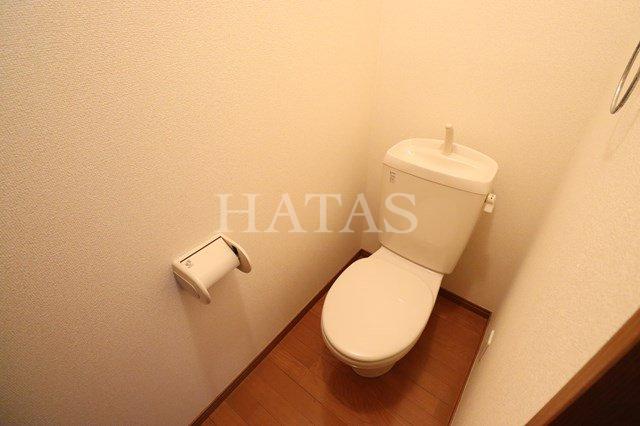 トイレ　同物件別部屋です。