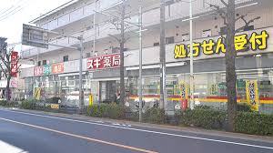 ドラックストア　スギドラッグ 鷺宮店（ドラッグストア）まで305m