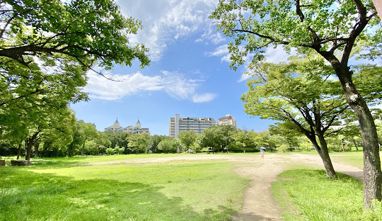 公園　向洋西公園（公園）まで343m