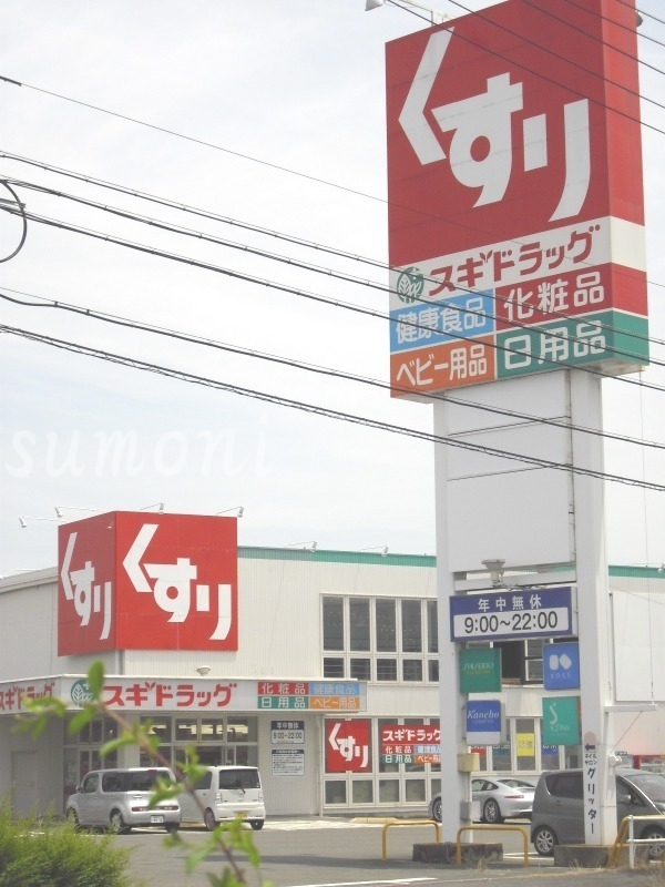 ドラックストア　スギ薬局鈴鹿寺家店（ドラッグストア）まで1089m
